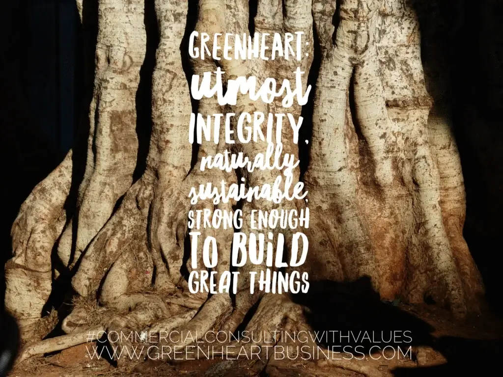 Greenheart consulting early brand imagery